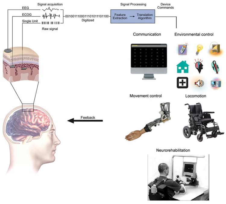 Current and future applications for neurotechnology using BCI.